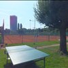 Impressionen der Clubmeisterschaft 2013
